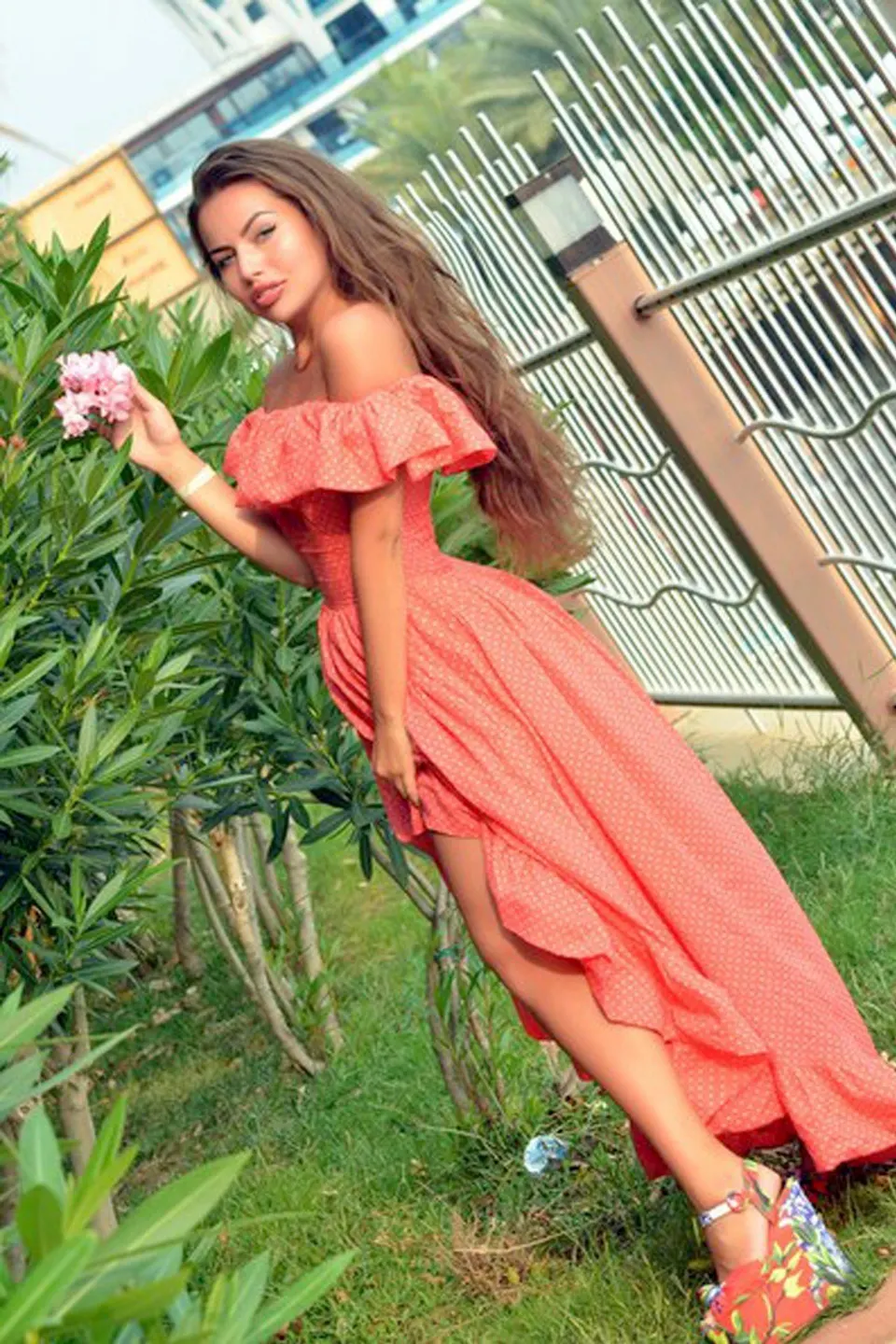 Lolita — photo 3